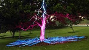 tree lightning